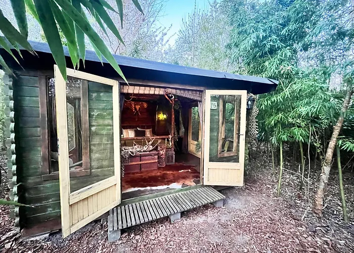 Bamboo Lodge Groningen
