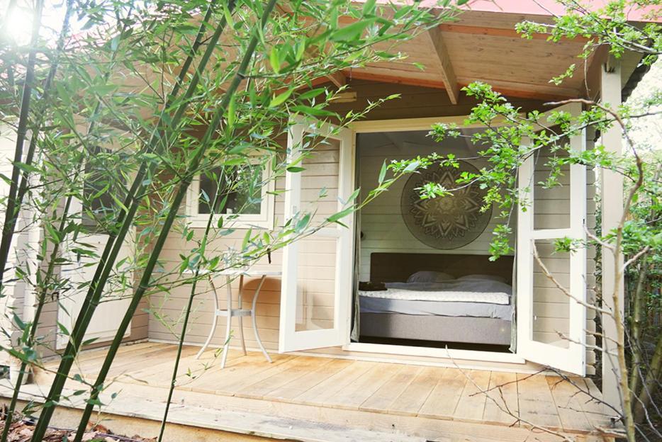 Bamboo * Groningue