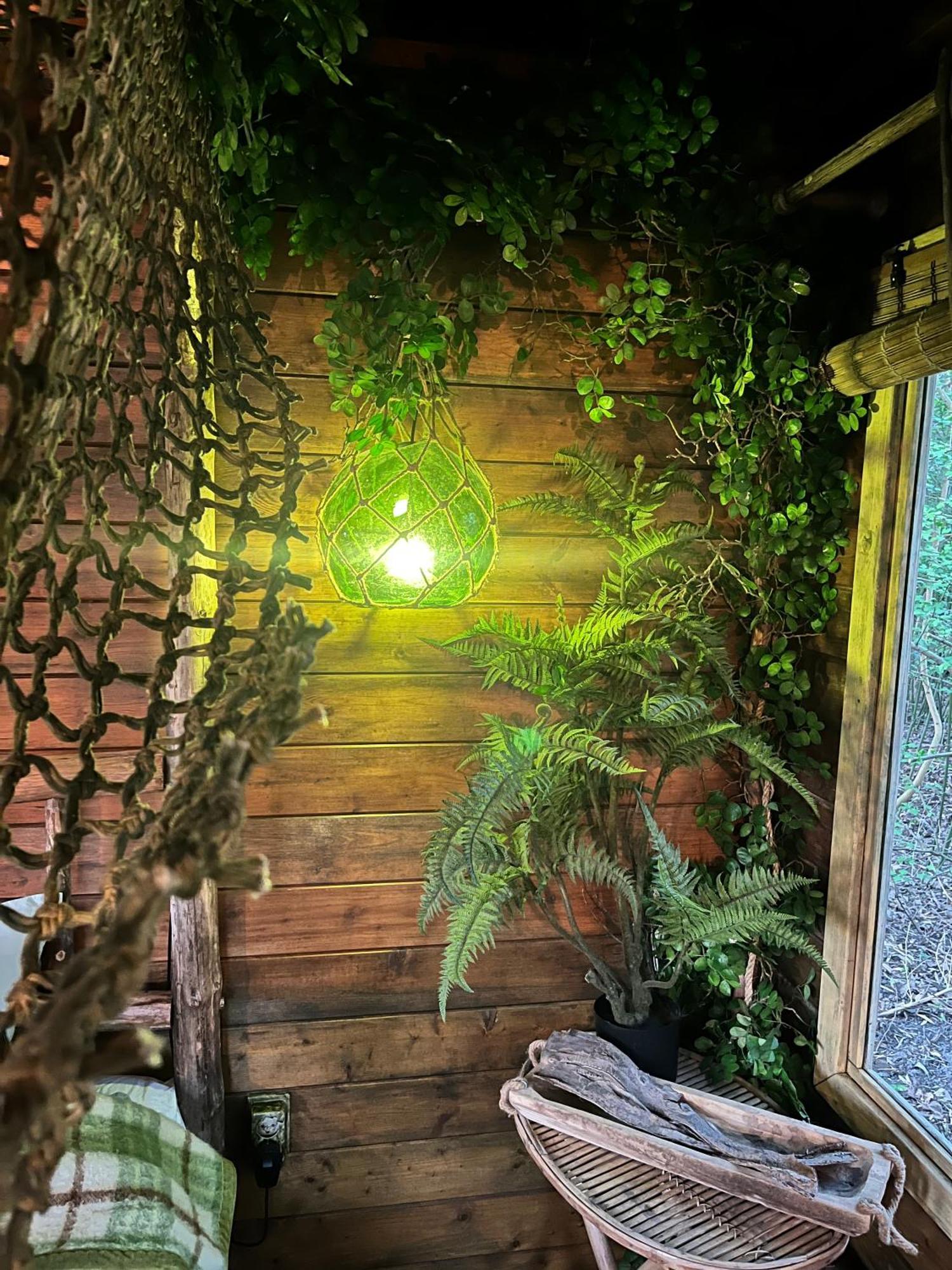 Bamboo *